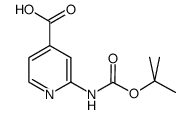 2-((叔丁氧基羰基)氨基)异烟酸结构式