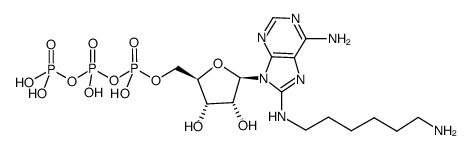 8-(6-Aminohexyl)amino-ATP结构式