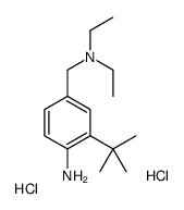 2-tert-butyl-4-(diethylaminomethyl)aniline,dihydrochloride Structure