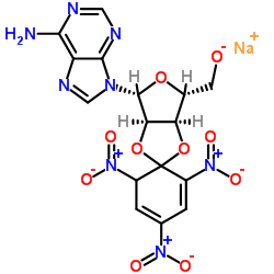 (2',3')O-(2,4,6-trinitrocyclohexadienylidine)adenosine structure