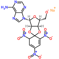 (2',3')O-(2,4,6-trinitrocyclohexadienylidine)adenosine Structure