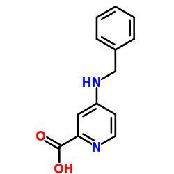 4-(Benzylamino)-2-pyridinecarboxylic acid Structure