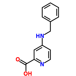 4-(Benzylamino)-2-pyridinecarboxylic acid structure