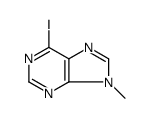 6-IODO-9-METHYL-9H-PURINE picture