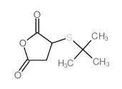 3-tert-butylsulfanyloxolane-2,5-dione picture