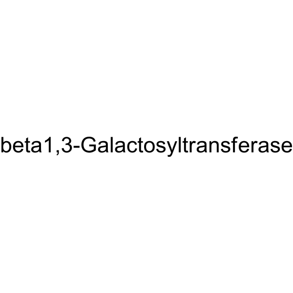 beta1,3-Galactosyltransferase Structure