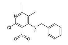 Benzyl-(2-chloro-5,6-dimethyl-3-nitro-pyridin-4-yl)-amine结构式