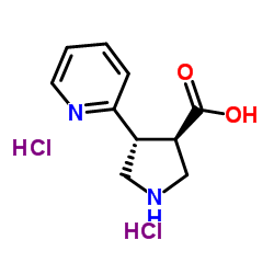 (+/-)-TRANS-4-(2-PYRIDINYL)PYRROLIDINE-3-CARBOXYLIC ACID DIHYDROCHLORIDE图片