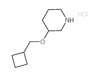 3-(Cyclobutylmethoxy)piperidine hydrochloride结构式