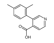 3-(2,4-dimethylphenyl)pyridine-4-carboxylic acid Structure