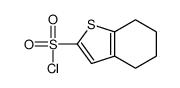 Benzo[b]thiophene-2-sulfonyl chloride, 4,5,6,7-tetrahydro- (9CI) structure