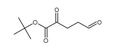 tert-butyl 2,5-dioxopentanoate Structure