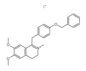 1-(4-benzyloxy-benzyl)-6,7-dimethoxy-2-methyl-3,4-dihydro-isoquinolinium, iodide Structure