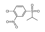 1-Chloro-4-[(1-methylethyl)sulfonyl]-2-nitrobenzene structure