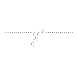 1,2-Dipalmitoyl-13C-sn-glycero-3-PC结构式