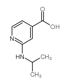 2-(Isopropylamino)isonicotinic acid Structure