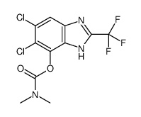 [5,6-dichloro-2-(trifluoromethyl)-1H-benzimidazol-4-yl] N,N-dimethylcarbamate结构式