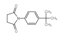 N-(4-叔丁基苯基)丁二酰亚胺结构式