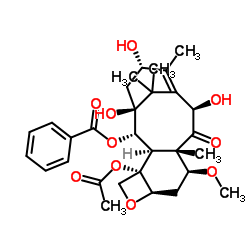 10-Deacetyl-7-Methyl Baccatin III structure