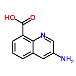 3-aminoquinoline-8-carboxylic acid Structure