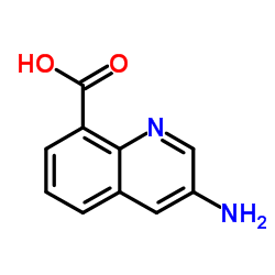 3-aminoquinoline-8-carboxylic acid picture