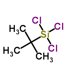 叔丁基三氯硅烷图片