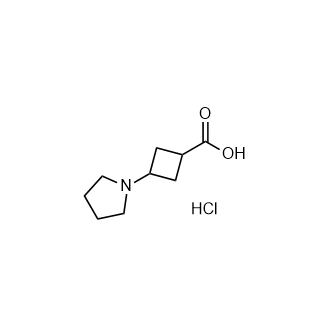 3-(Pyrrolidin-1-yl)cyclobutanecarboxylicacidhydrochloride Structure