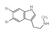 2-(5,6-dibromo-1H-indol-3-yl)-N-methyl-ethanamine结构式