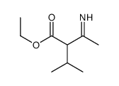 ethyl 2-ethanimidoyl-3-methylbutanoate结构式