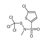 5-chloro-N-methyl-N-(trichloromethylsulfanyl)thiophene-2-sulfonamide Structure