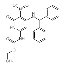 ethyl N-[4-(benzhydrylamino)-5-nitro-6-oxo-1H-pyridin-2-yl]carbamate picture