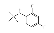 N-(tert-butyl)-2,4-difluorocyclohexa-2,4-dien-1-amine结构式