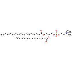 1-Palmitoyl-2-lauroyl-sn-glycero-3-PC结构式