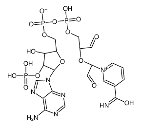 2',3'-dialdehyde NADP picture