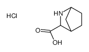 2-Azabicyclo[2.2.1]Heptane-3-Carboxylic Acid Hydrochloride Structure