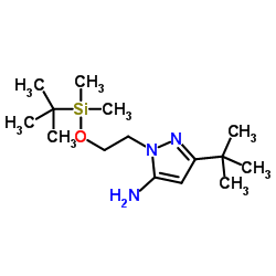 1-(2-{[Dimethyl(2-methyl-2-propanyl)silyl]oxy}ethyl)-3-(2-methyl-2-propanyl)-1H-pyrazol-5-amine Structure