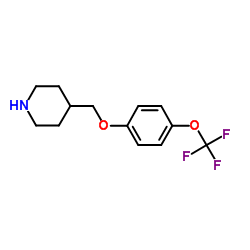 4-{[4-(Trifluoromethoxy)phenoxy]methyl}piperidine Structure