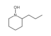 coniine hydroxylamine结构式