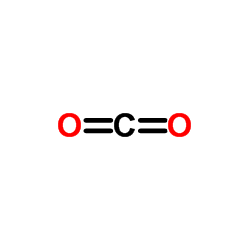 Carbon dioxide structure