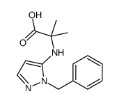 2-[(2-benzylpyrazol-3-yl)amino]-2-methylpropanoic acid Structure