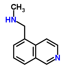 N-(ISOQUINOLIN-5-YLMETHYL)-N-METHYLAMINE Structure