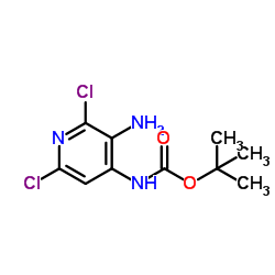 tert-butyl (3-amino-2,6-dichloropyridin-4-yl)carbamate Structure