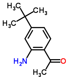 1-(2-AMINO-4-TERT-BUTYL-PHENYL)-ETHANONE结构式