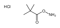 amino 2,2-dimethylpropanoate,hydrochloride Structure