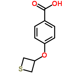 4-(THIETAN-3-YLOXY)BENZOIC ACID结构式