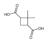 2,2-dimethylcyclobutane-1,3-dicarboxylic acid Structure