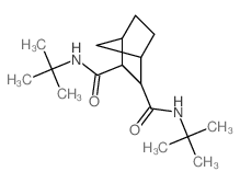 N,N-ditert-butylnorbornane-2,3-dicarboxamide Structure