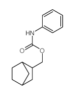 norbornan-2-ylmethyl N-phenylcarbamate Structure