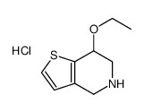 7-ethoxy-4,5,6,7-tetrahydrothieno[3,2-c]pyridine,hydrochloride结构式