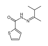 N-(3-methylbutan-2-ylideneamino)thiophene-2-carboxamide结构式